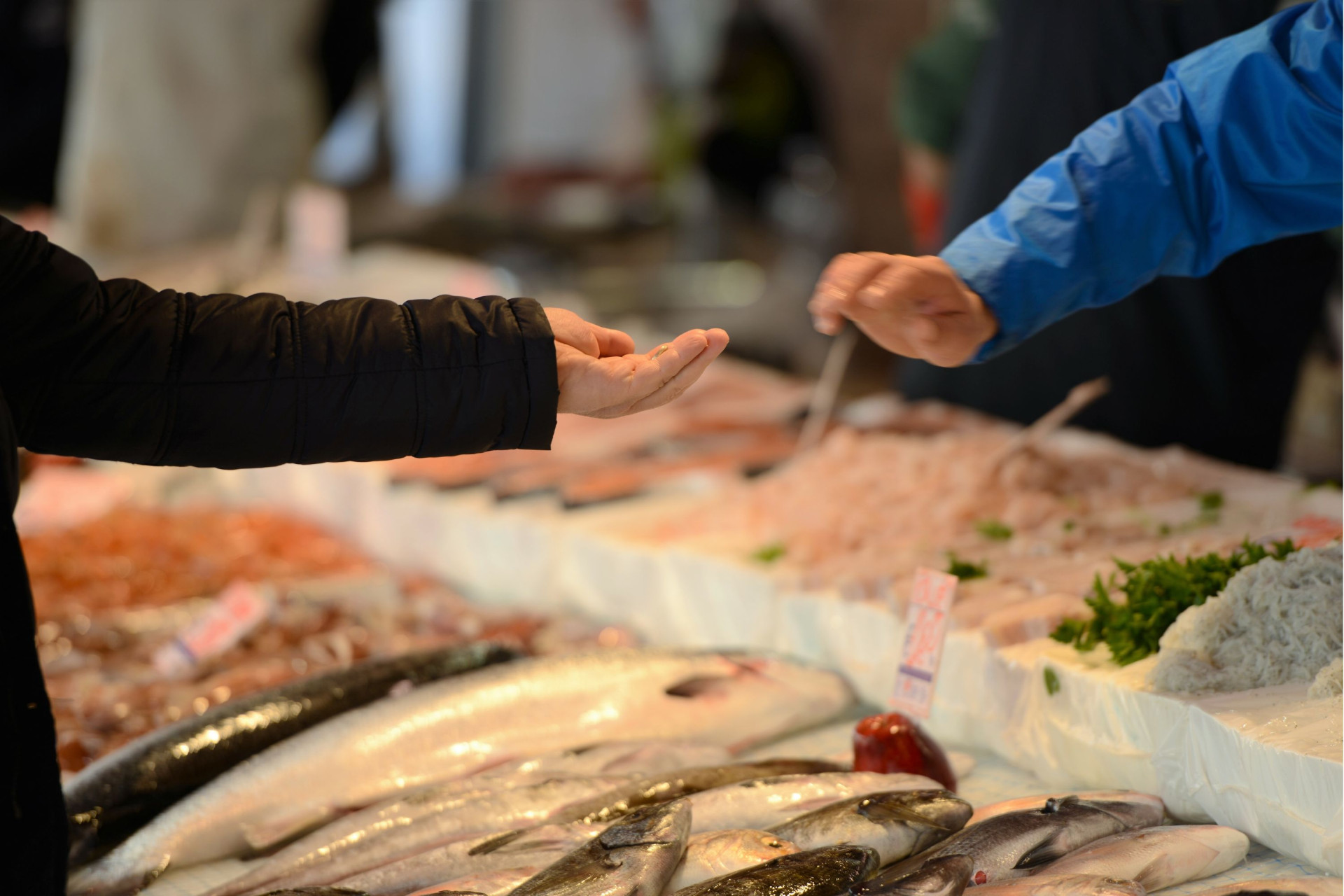 solutions viviers de stockage pour distributeurs grande capacité