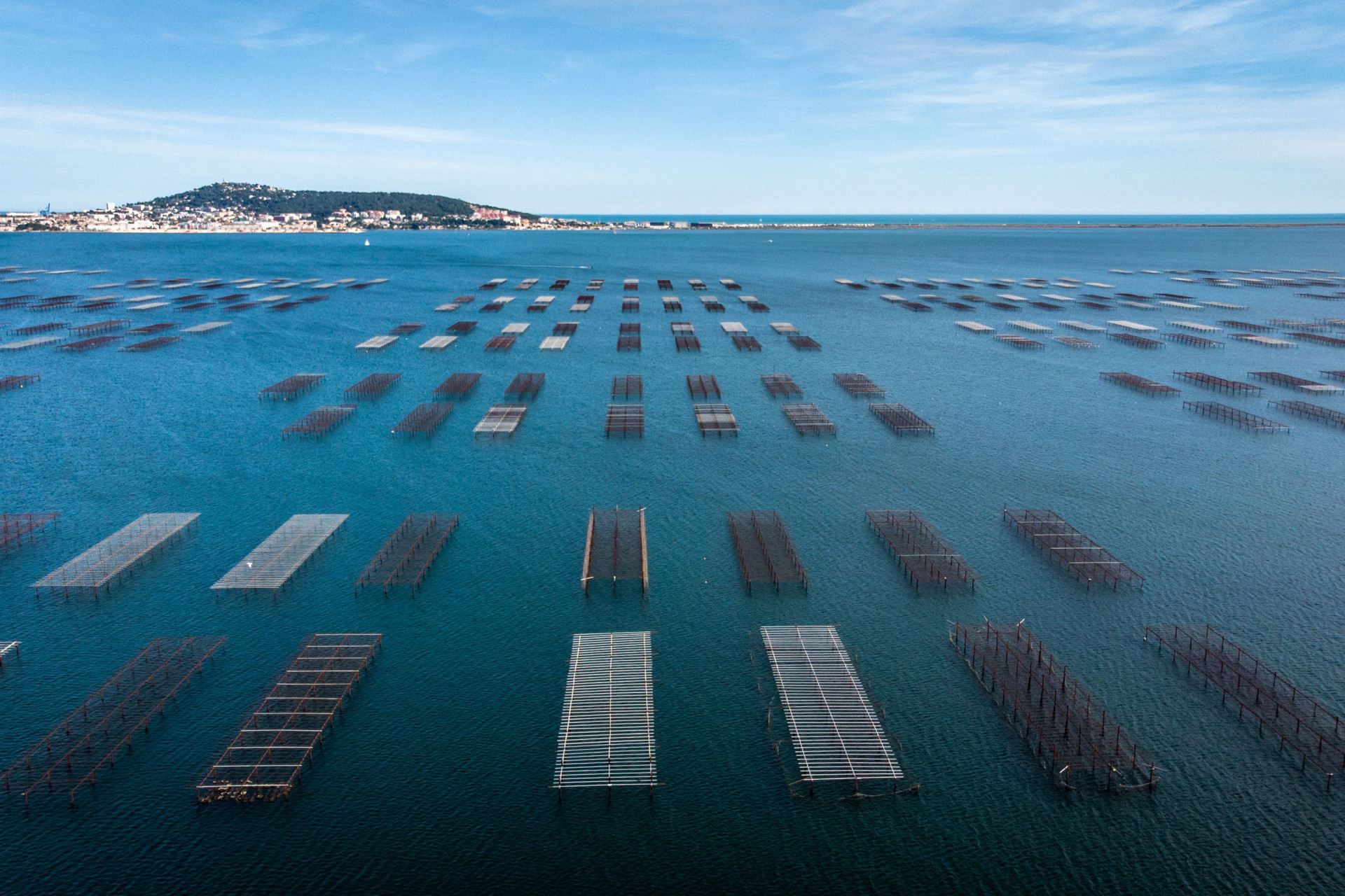 solutions viviers de stockage pour éleveurs