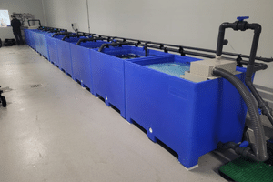 Vivier de stockage